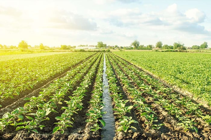 P_BlogT_6 important CX metrics and KPIs (and how to measure them)-3