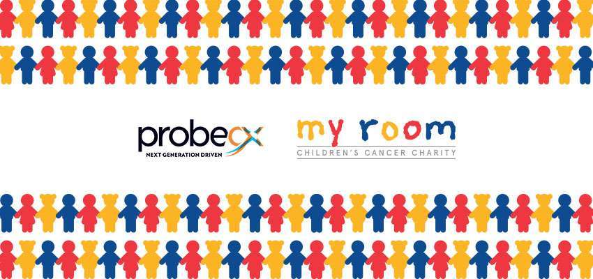 P_Web_Probe-my room