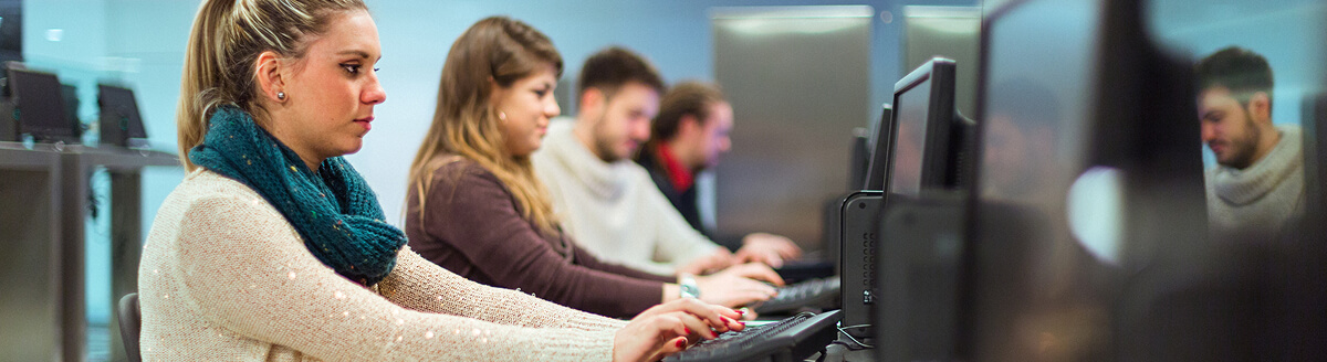 Customer service team working at their computers