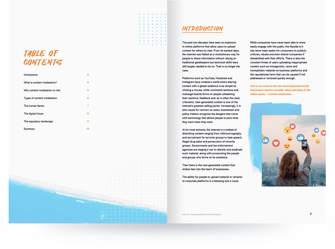 Content Moderation Whitepaper