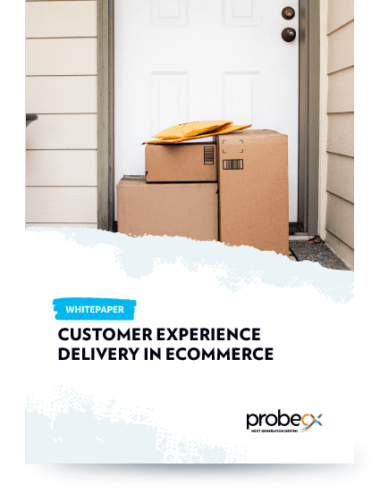 P_eCommerce CX whitepaper_cover